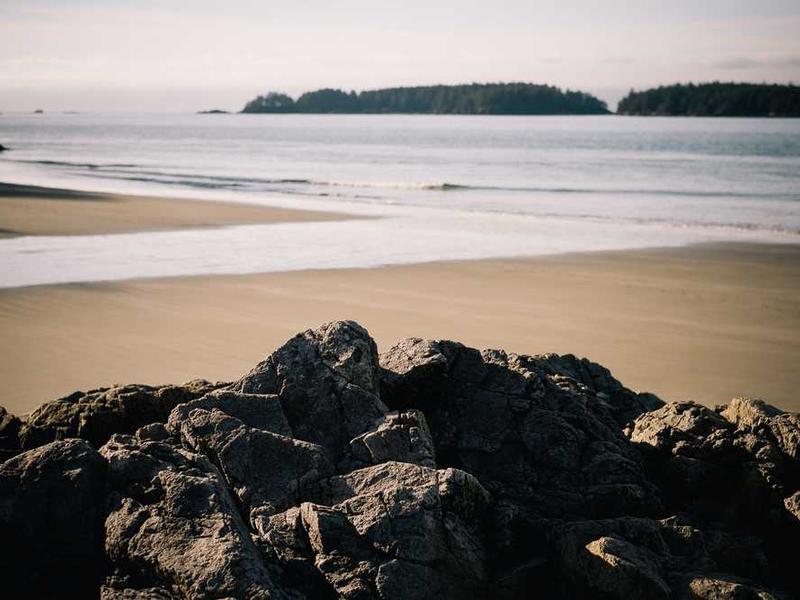 大手云相册使用场景